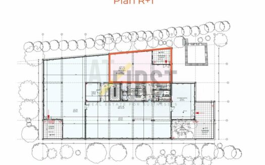 BUREAUX À LOUER À MOUGINS DANS UN IMMEUBLE NEUF